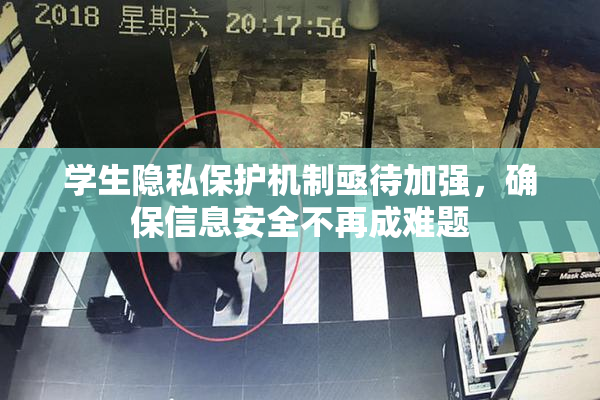学生隐私保护机制亟待加强，确保信息安全不再成难题