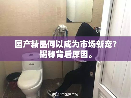 国产精品何以成为市场新宠？揭秘背后原因。