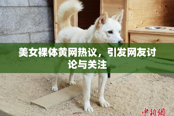 美女裸体黄网热议，引发网友讨论与关注