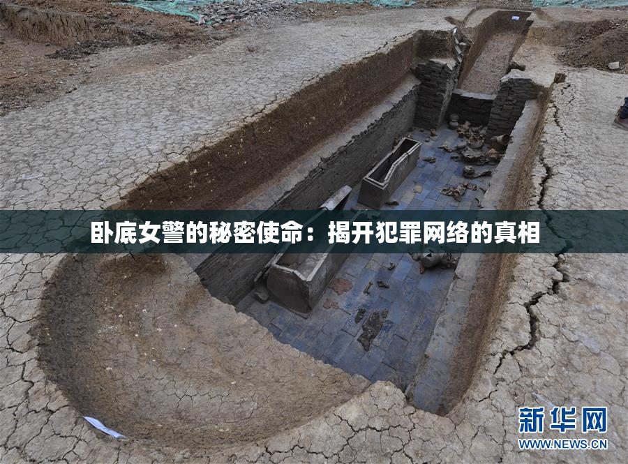 卧底女警的秘密使命：揭开犯罪网络的真相