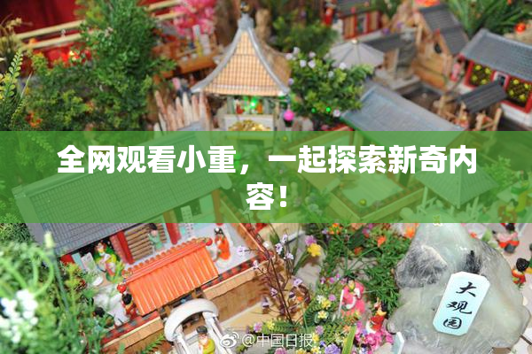 全网观看小重，一起探索新奇内容！