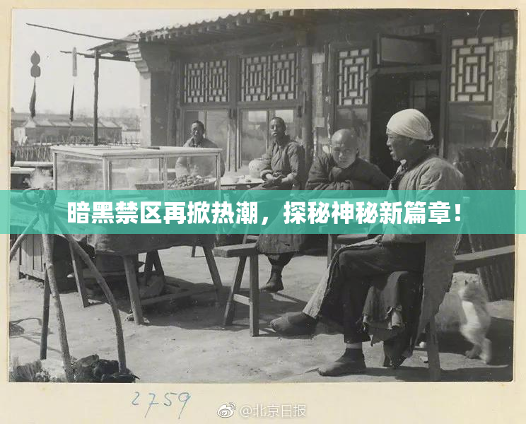 暗黑禁区再掀热潮，探秘神秘新篇章！