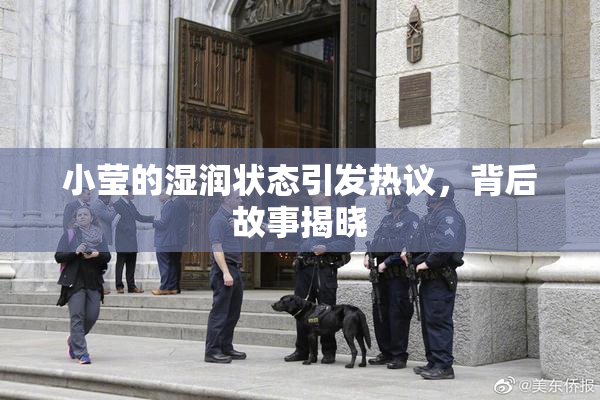 小莹的湿润状态引发热议，背后故事揭晓