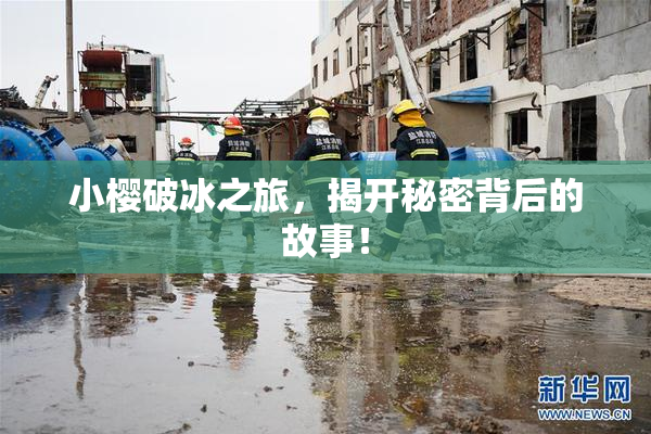小樱破冰之旅，揭开秘密背后的故事！