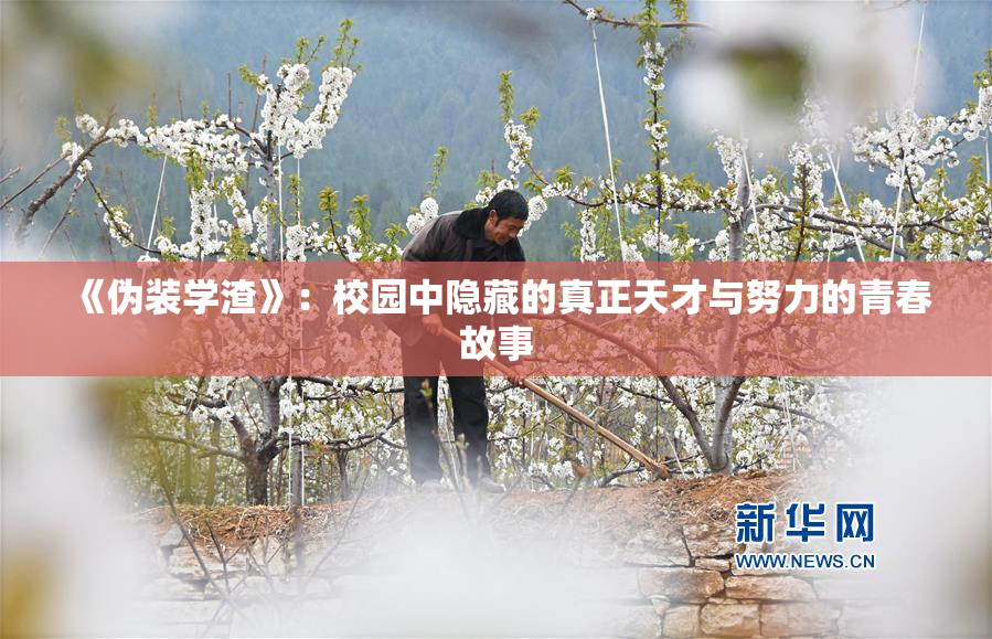 《伪装学渣》：校园中隐藏的真正天才与努力的青春故事