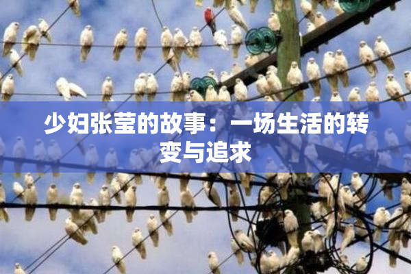 少妇张莹的故事：一场生活的转变与追求