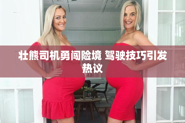 壮熊司机勇闯险境 驾驶技巧引发热议