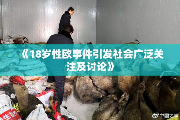 《18岁性欧事件引发社会广泛关注及讨论》