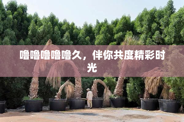 噜噜噜噜噜久，伴你共度精彩时光