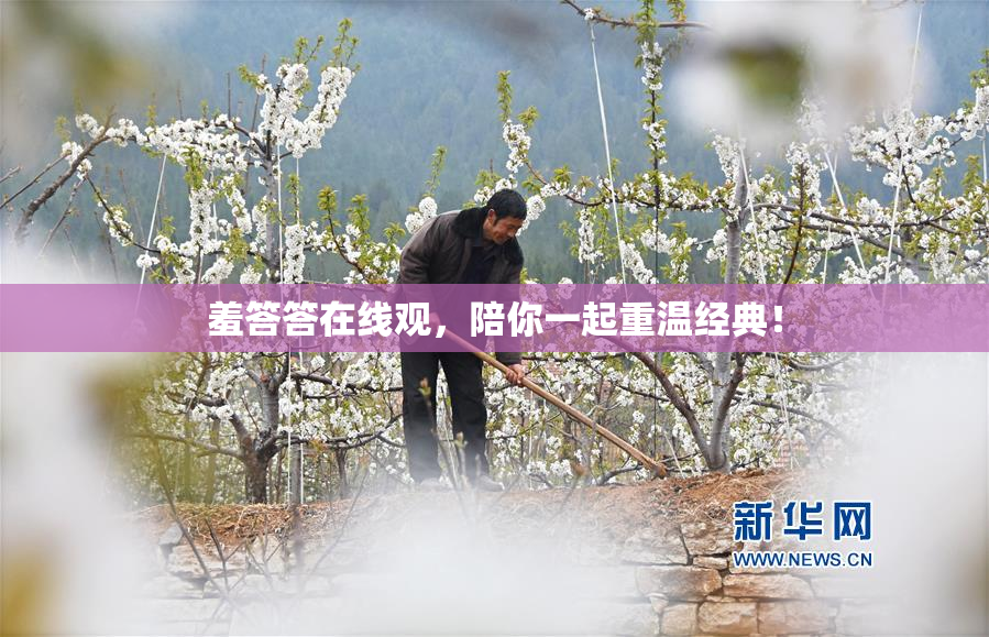 羞答答在线观，陪你一起重温经典！