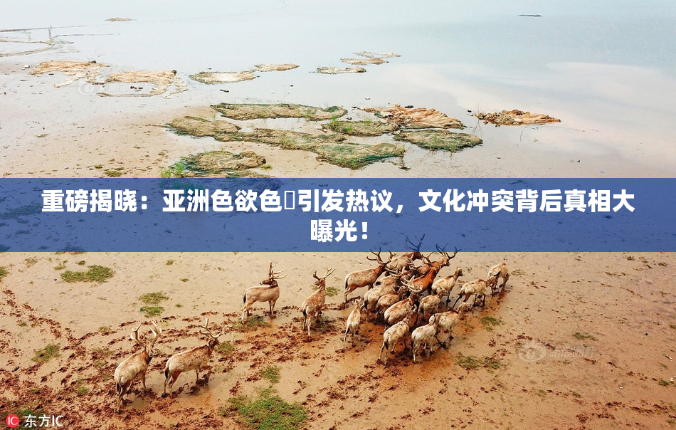 重磅揭晓：亚洲色欲色欱引发热议，文化冲突背后真相大曝光！