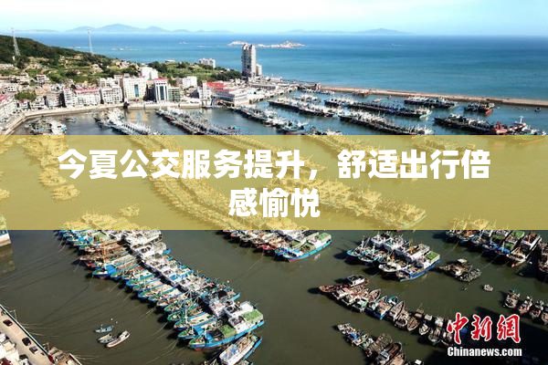 今夏公交服务提升，舒适出行倍感愉悦