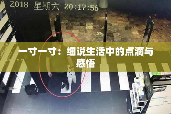 一寸一寸：细说生活中的点滴与感悟