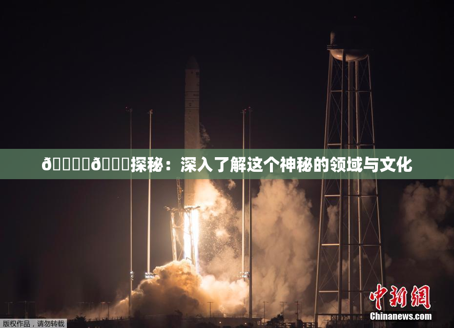 🔞‌🍌探秘：深入了解这个神秘的领域与文化