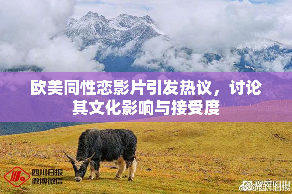 欧美同性恋影片引发热议，讨论其文化影响与接受度