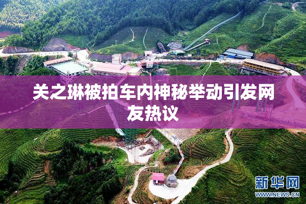 关之琳被拍车内神秘举动引发网友热议