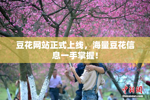 豆花网站正式上线，海量豆花信息一手掌握！