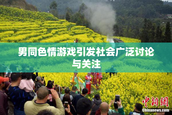 男同色情游戏引发社会广泛讨论与关注