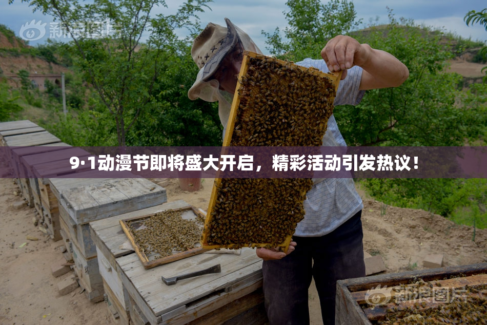 9·1动漫节即将盛大开启，精彩活动引发热议！