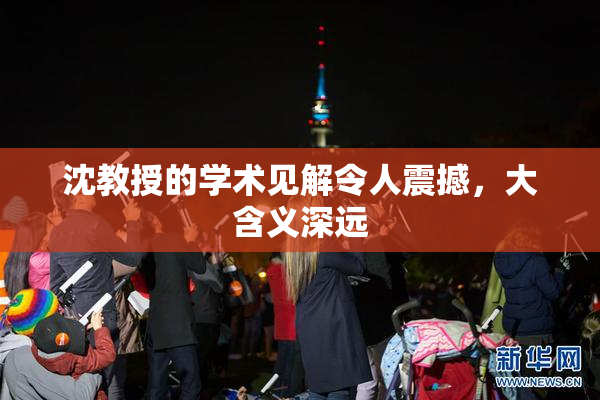 沈教授的学术见解令人震撼，大含义深远