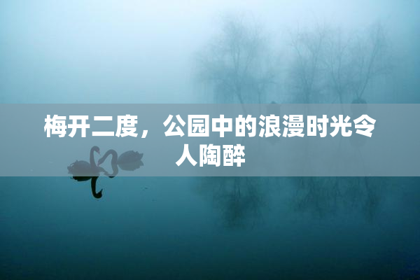 梅开二度，公园中的浪漫时光令人陶醉