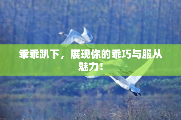 乖乖趴下，展现你的乖巧与服从魅力！