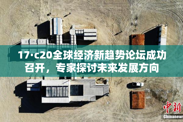 17·c20全球经济新趋势论坛成功召开，专家探讨未来发展方向