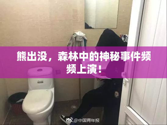 熊出没，森林中的神秘事件频频上演！