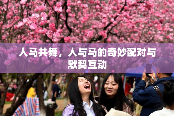 人马共舞，人与马的奇妙配对与默契互动
