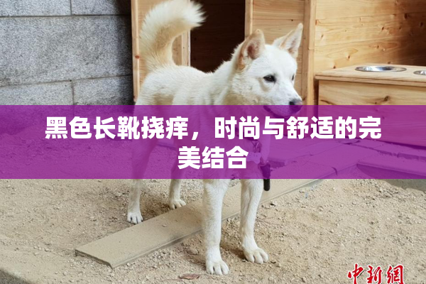 黑色长靴挠痒，时尚与舒适的完美结合