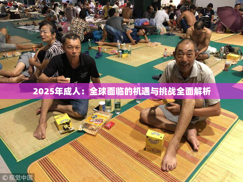 2025年成人：全球面临的机遇与挑战全面解析