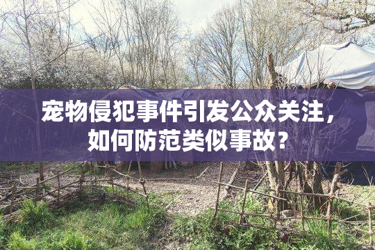 宠物侵犯事件引发公众关注，如何防范类似事故？