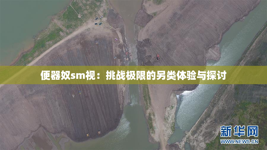 便器奴sm视：挑战极限的另类体验与探讨