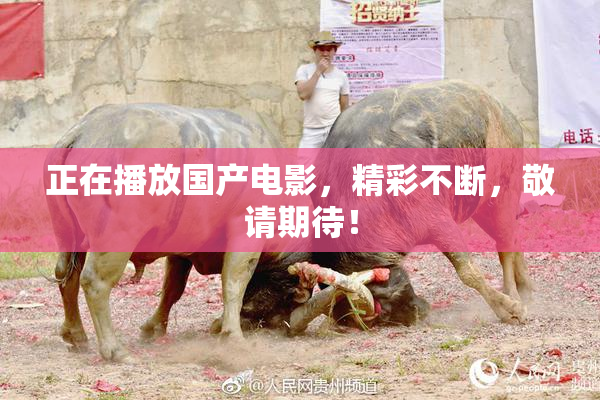 正在播放国产电影，精彩不断，敬请期待！