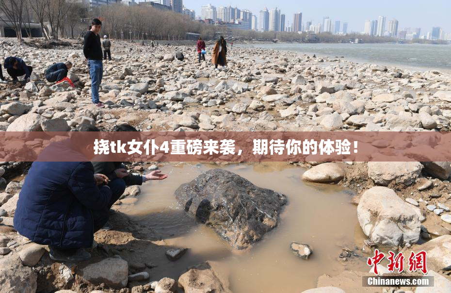 挠tk女仆4重磅来袭，期待你的体验！