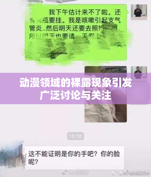 动漫领域的裸露现象引发广泛讨论与关注