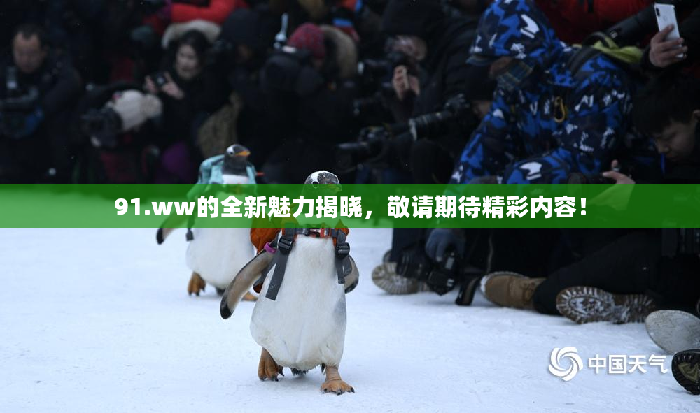 91.ww的全新魅力揭晓，敬请期待精彩内容！