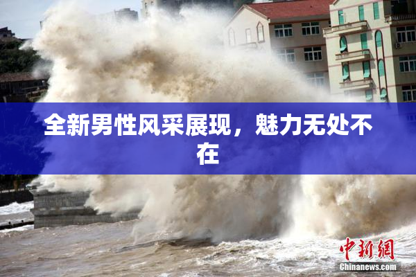 全新男性风采展现，魅力无处不在