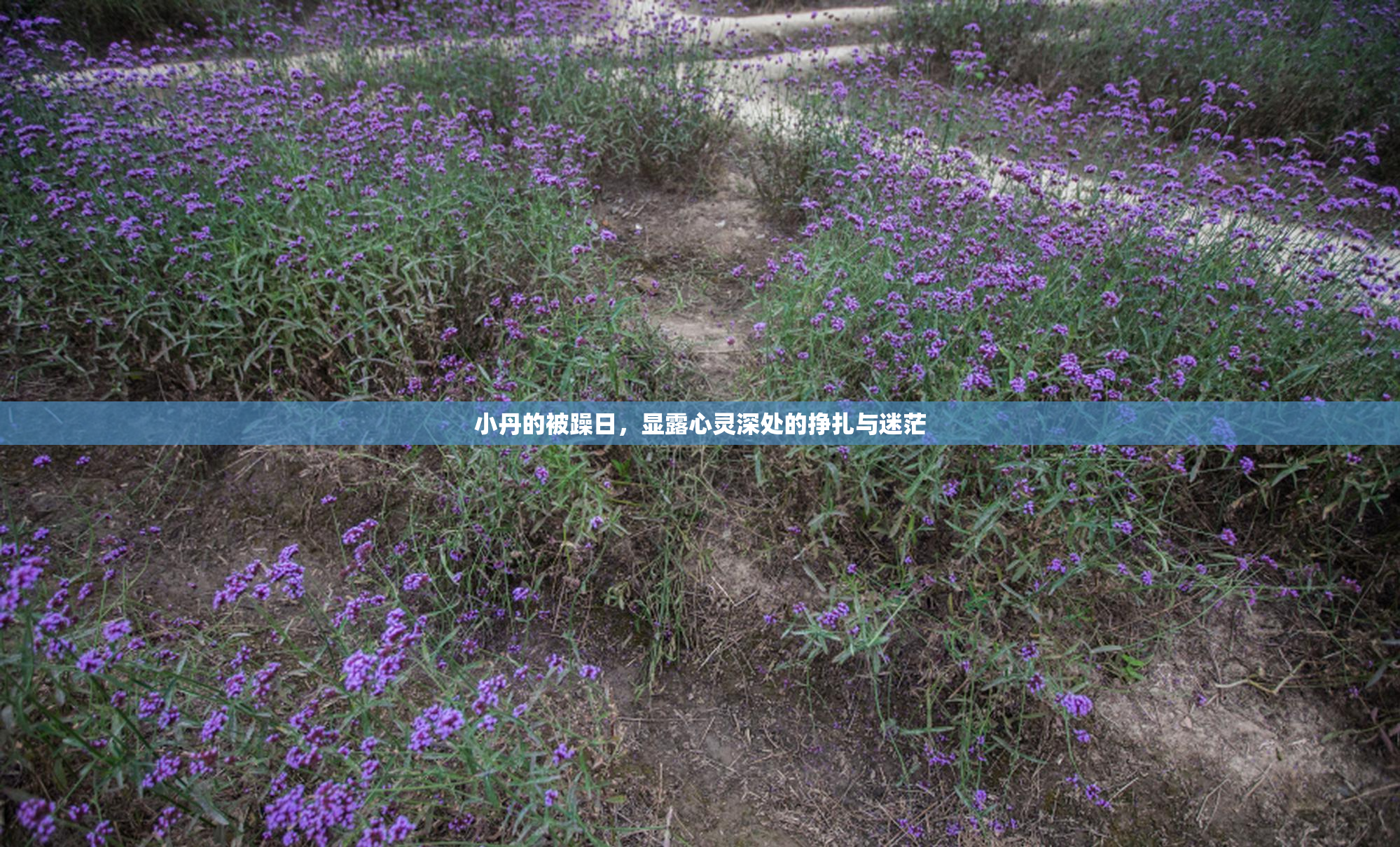 小丹的被躁日，显露心灵深处的挣扎与迷茫