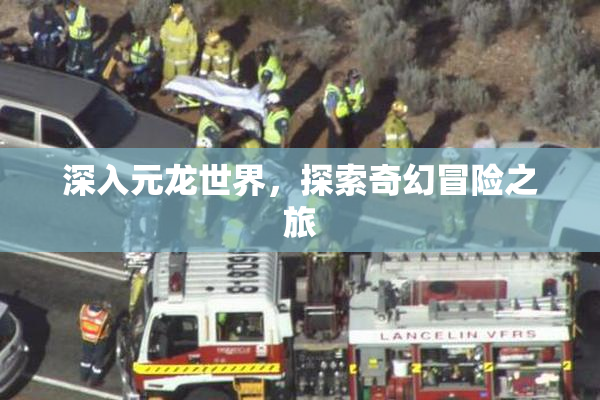 深入元龙世界，探索奇幻冒险之旅