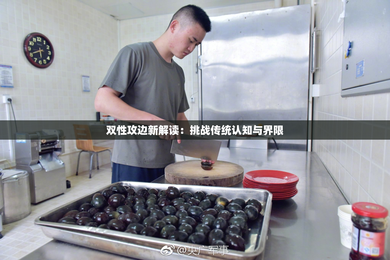 双性攻边新解读：挑战传统认知与界限