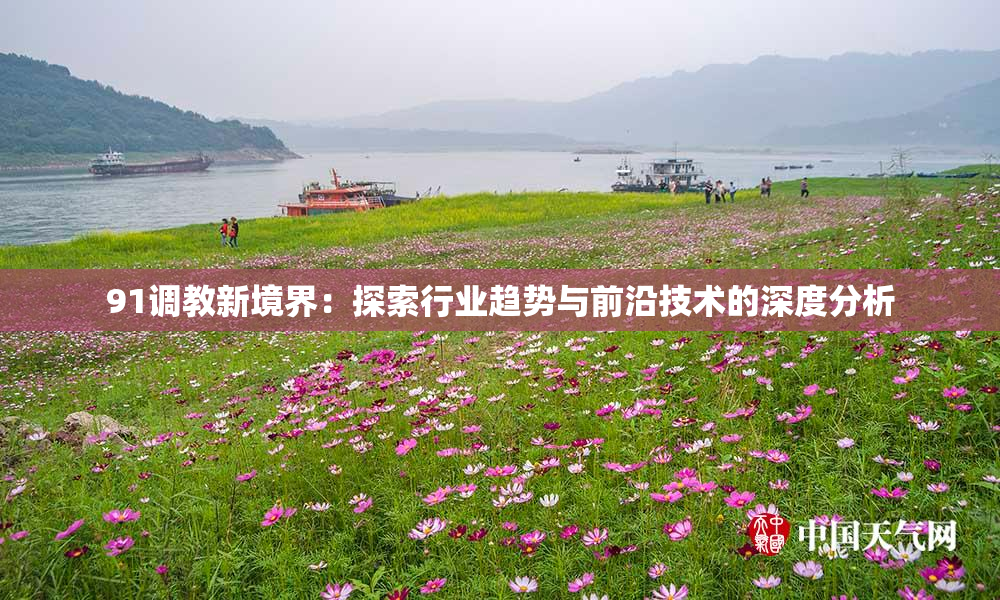 91调教新境界：探索行业趋势与前沿技术的深度分析