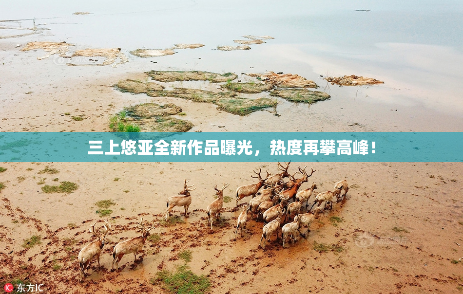 三上悠亚全新作品曝光，热度再攀高峰！