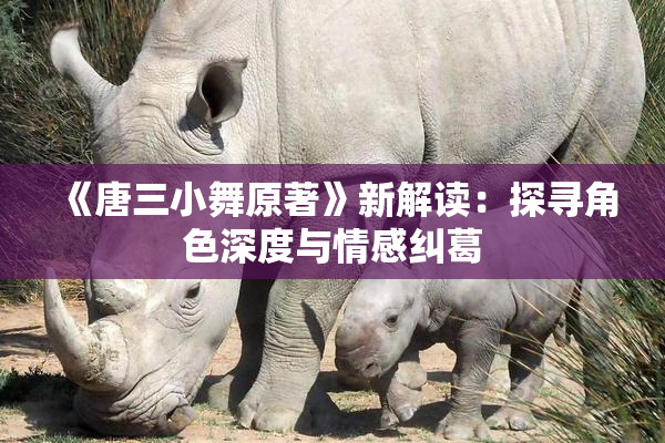 《唐三小舞原著》新解读：探寻角色深度与情感纠葛