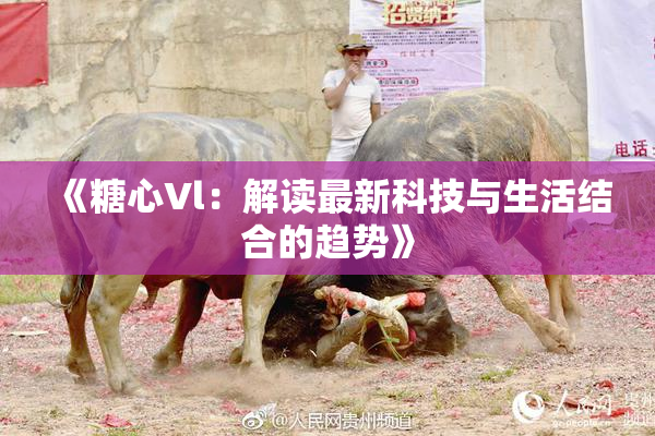 《糖心Vl：解读最新科技与生活结合的趋势》