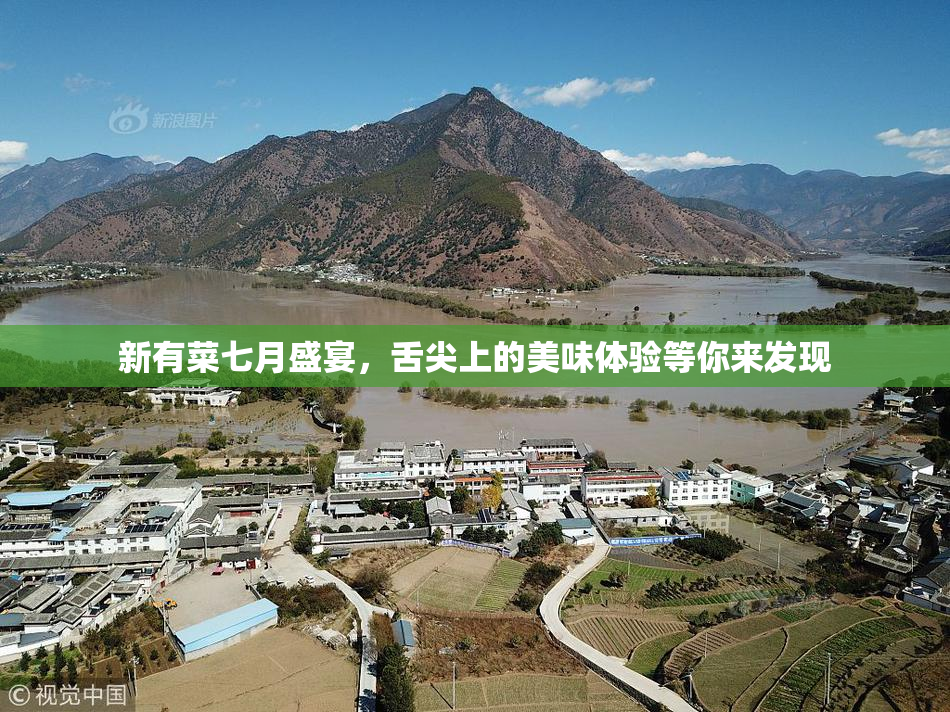 新有菜七月盛宴，舌尖上的美味体验等你来发现