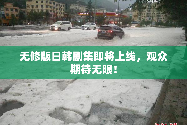 无修版日韩剧集即将上线，观众期待无限！