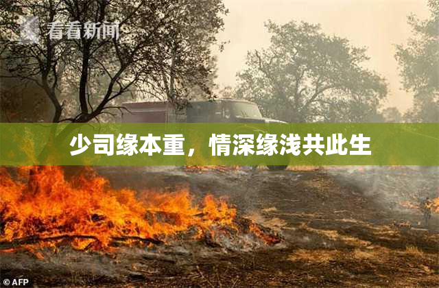少司缘本重，情深缘浅共此生
