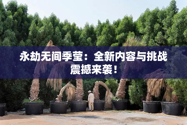 永劫无间季莹：全新内容与挑战震撼来袭！