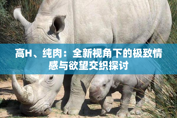高H、纯肉：全新视角下的极致情感与欲望交织探讨